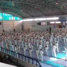 16825838_1649331745082085_2825427322700660408_o 16825838_1649331745082085_2825427322700660408_o